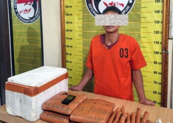 Kedok Warung Kopi Terbongkar, Polres Padangsidimpuan Sita 4,4 Kg Ganja dari Tangan Kurir