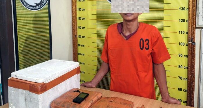 Kedok Warung Kopi Terbongkar, Polres Padangsidimpuan Sita 4,4 Kg Ganja dari Tangan Kurir