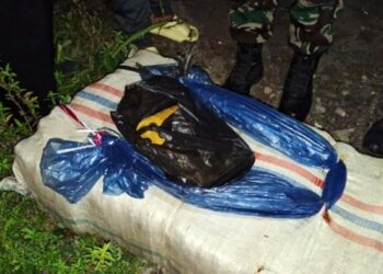 Petugas Gabungan Amankan Puluhan Bal Ganja Tak Bertuan di Panyabungan Timur