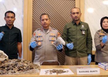 Polres Padangsidimpuan Tangkap Penjual Sisik Trenggiling di SPBU Manunggang Julu