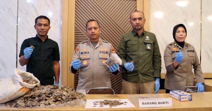 Polres Padangsidimpuan Tangkap Penjual Sisik Trenggiling di SPBU Manunggang Julu