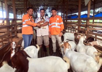 PTAR Bangun Fondasi Ekonomi Batangtoru Lewat Rantai Pasok Pangan Lokal