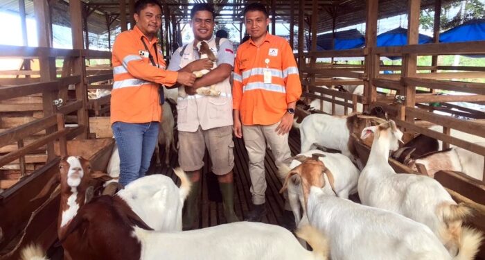 PTAR Bangun Fondasi Ekonomi Batangtoru Lewat Rantai Pasok Pangan Lokal