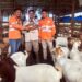 PTAR Bangun Fondasi Ekonomi Batangtoru Lewat Rantai Pasok Pangan Lokal