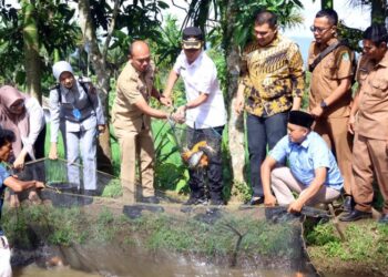 Gandeng Mahasiswa STP Jakarta, Tapsel Bidik Kemandirian Bibit Ikan di Angkola Barat