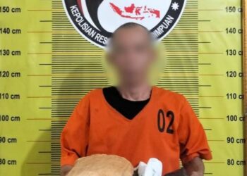 Polisi Ringkus Pria yang Bawa Satu Bal Ganja di Jalinsum Padangsidimpuan
