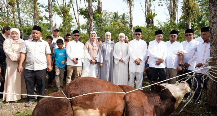 Idul Adha di Huntara Tapsel, Gus Irawan Serahkan Sapi Kurban 1 Ton dari Presiden Prabowo