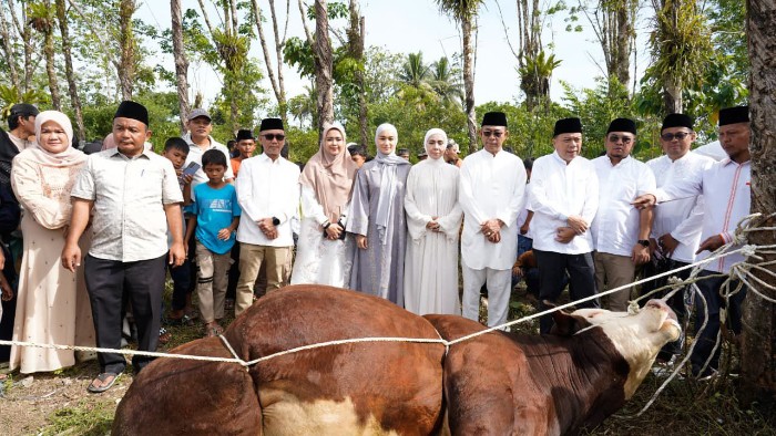 Idul Adha di Huntara Tapsel, Gus Irawan Serahkan Sapi Kurban 1 Ton dari Presiden Prabowo