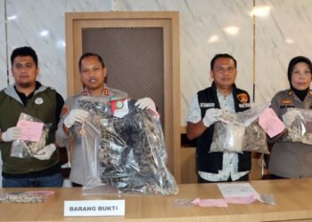 Jual Organ Harimau Dahan, Dua Warga Madina Ditangkap Polres Padangsidimpuan