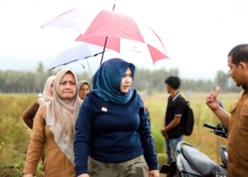 Pemkab Madina Targetkan Rehabilitasi Lahan Sayurmatua Rampung 28 Mei