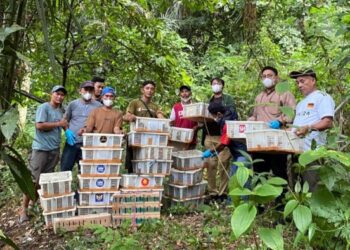 Petugas Gabungan Gagalkan Penyelundupan 1.532 Burung Liar di Tol Lampung