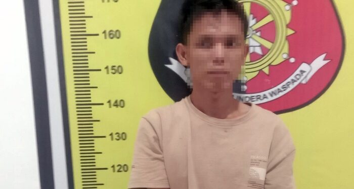Polisi Ringkus Pengedar Sabu di Simangambat, Satu Pelaku Buron