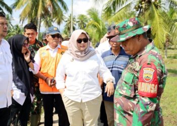 Sawah Tangga Bosi Pulih Bulan Ini, Pemkab Madina Sediakan Bibit Padi Gratis