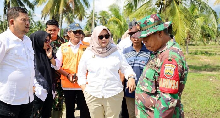 Sawah Tangga Bosi Pulih Bulan Ini, Pemkab Madina Sediakan Bibit Padi Gratis