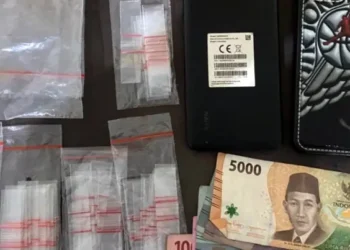 Tergiur Upah Nyabu Gratis, Kurir Sabu Diringkus Polres Tapsel