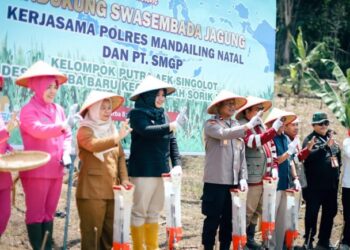 Wabup Atika Bicara Korelasi Ketegangan di Timur Tengah dengan Ekonomi Madina