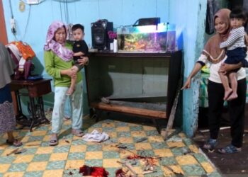 Babi Hutan Ngamuk di Permukiman Padat Sergai, Satu Warga Luka Parah