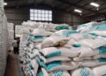 Bulog Sumut Siap Musnahkan Beras di Gudang yang Tak Layak Konsumsi