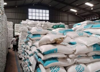 Bulog Sumut Siap Musnahkan Beras di Gudang yang Tak Layak Konsumsi