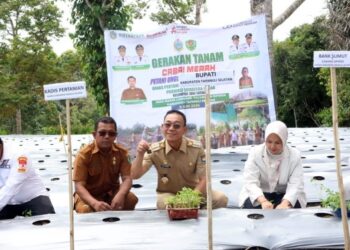 Bupati Tapsel Tawarkan KUR Bunga Nol Persen untuk Petani