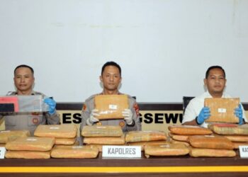 Kurir Ganja 24 Kg dari Panyabungan Ditangkap di Lampung