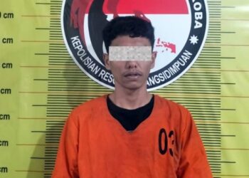 Polisi Buru Mr. X, Muara Jaringan Peredaran Ganja di Padangsidimpuan