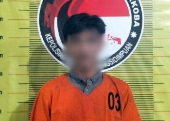 Polres Padangsidimpuan Gagalkan Transaksi 2 Kilogram Ganja di Aek Tampang