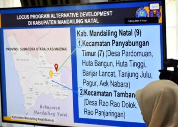 Strategi Baru Pemkab Madina Keroyok Ladang Ganja Tor Sihite dari Sisi Ekonomi