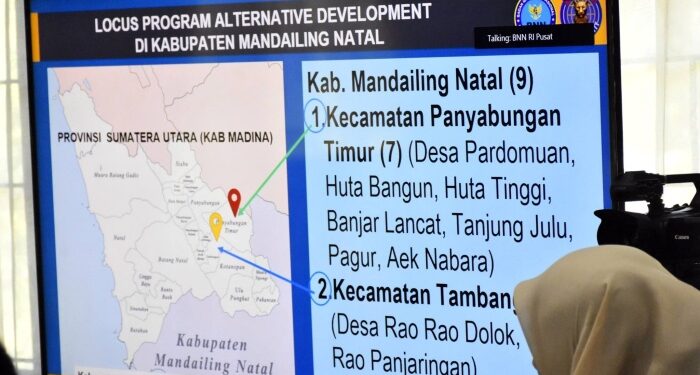 Strategi Baru Pemkab Madina Keroyok Ladang Ganja Tor Sihite dari Sisi Ekonomi