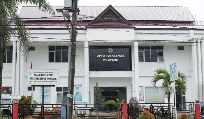 Viral Video Pelayanan Puskesmas Mompang, Kapus Kirim Hak Jawab ke Media