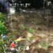 Aek Singolot Meluap Malam Ini, Banjir Genangi Area Purba Baru