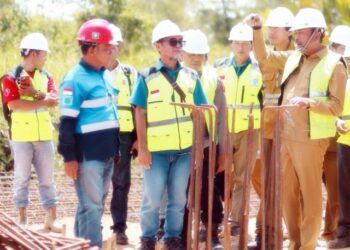 Menuju Kota Satelit, Proyek Jembatan Aek Batahan Capai 57 Persen