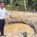 Penambang Emas Ilegal di Jambi Tewas Tertimbun, Pemilik Lahan Ditahan Polisi