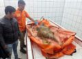 Penemuan Kerangka Manusia di Rawa Tukka Buka Kembali Tabir Bencana Tapteng