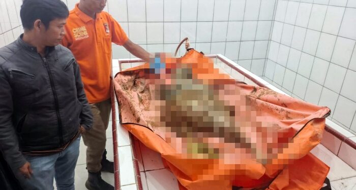 Penemuan Kerangka Manusia di Rawa Tukka Buka Kembali Tabir Bencana Tapteng