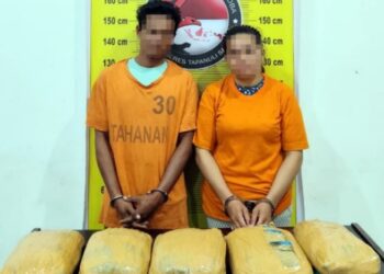 Polres Tapsel Sita 5 Kg Ganja Asal Panyabungan, Dua Tersangka Ditangkap