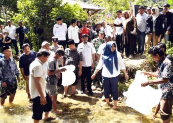 Wabup Atika Tabur Benih Ikan di Lubuk Larangan Desa Lumban Dolok