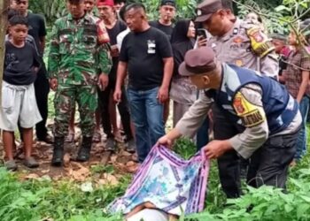 Warga Aek Tampang Geger, Jasad Pria Ditemukan Tergantung di Pohon Nangka