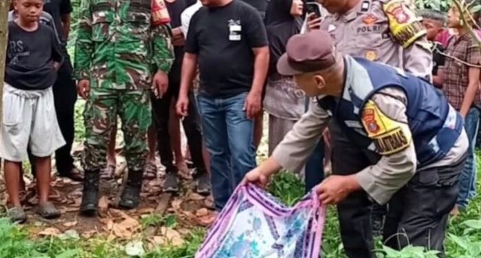 Warga Aek Tampang Geger, Jasad Pria Ditemukan Tergantung di Pohon Nangka