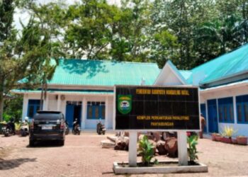 33 Perusahaan Ikut Tender Proyek Pembangunan Kantor Inspektorat Madina