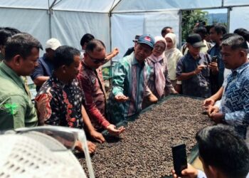 Filosofi ‘Pinjaman Anak Cucu’, Kopi Tapsel  Tembus Pasar Singapura