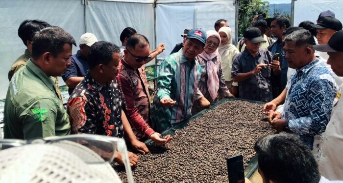 Filosofi ‘Pinjaman Anak Cucu’, Kopi Tapsel Tembus Pasar Singapura