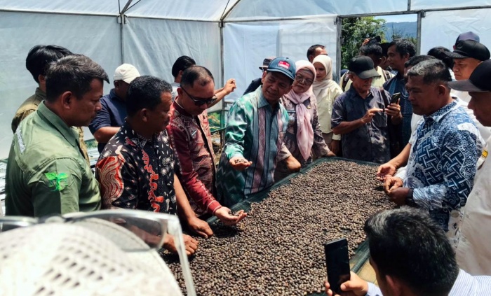 Filosofi ‘Pinjaman Anak Cucu’, Kopi Tapsel  Tembus Pasar Singapura