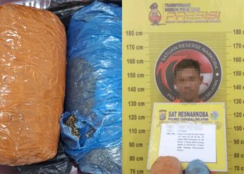 Kurir Lintas Daerah Ditangkap, Polres Tapsel Buru Pemasok 2 Kg Ganja dari Panyabungan