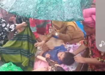 Pohon Kelapa Timpa Rumah di Natal, 11 Penghuni Selamat