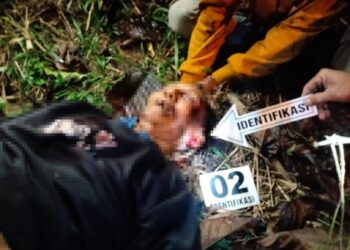 Rebutan Warisan, Pria di Tapsel Tega Aniaya Kakak Kandung hingga Tewas