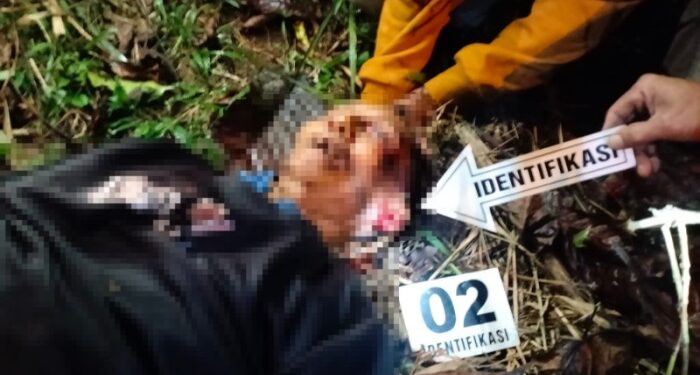 Rebutan Warisan, Pria di Tapsel Tega Aniaya Kakak Kandung hingga Tewas