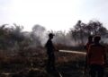Lahan Lima Hektare Kebun Sawit dan Semak Belukar di Labuhanbatu Terbakar