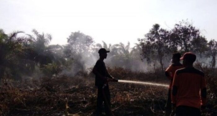 Lahan Lima Hektare Kebun Sawit dan Semak Belukar di Labuhanbatu Terbakar