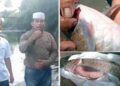 Misteri Ikan Mati di Batang Ayumi, Pemko Padangsidimpuan Larang Warga Konsumsi